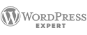 WordPress Expert | Valde Media Wordpress Expert | Valde Media