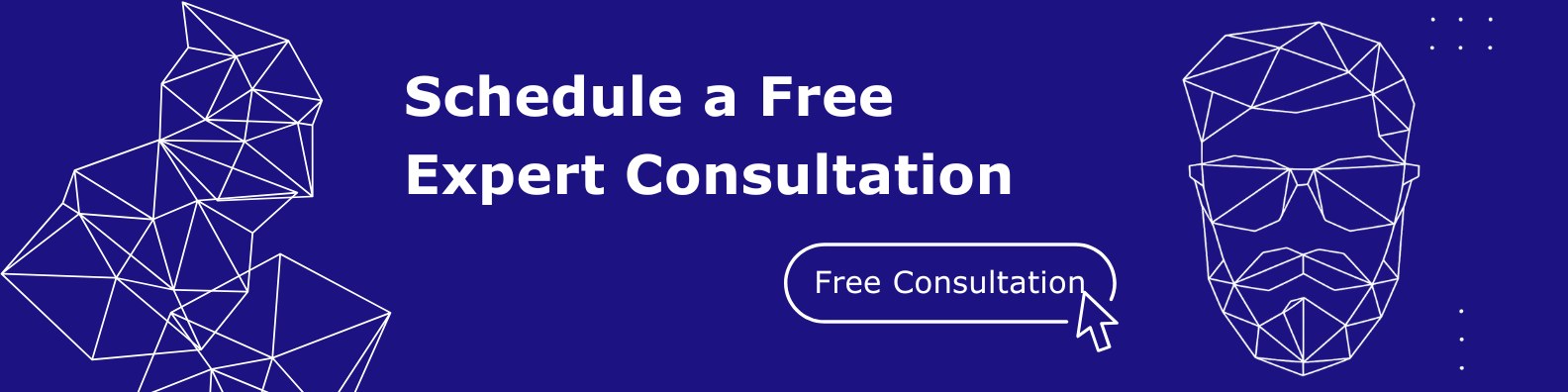 Schedule a Free Expert Consultation